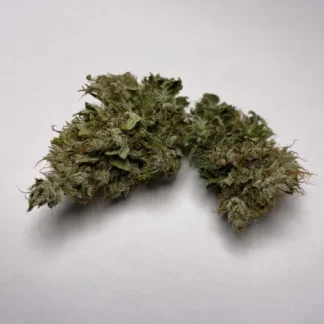 Medicuana Fluffy Owl Susz CBG