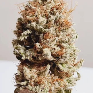 Medicuana The Whitest Susz CBG