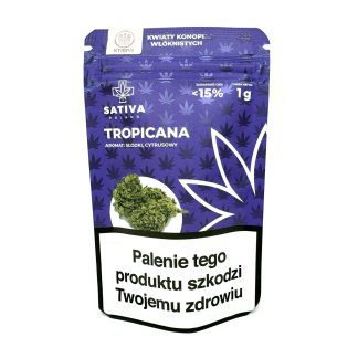 Sativa Poland Susz CBD Tropicana